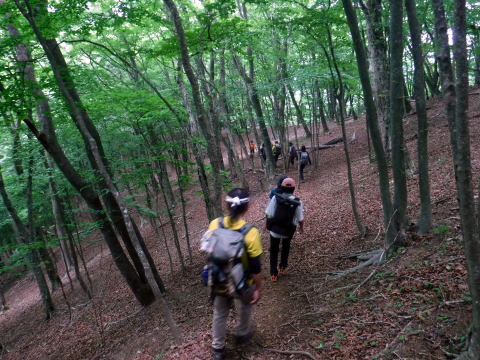 2022.6.5 御前山(尾根歩き)