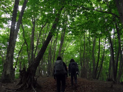 2022.6.5 御前山(尾根歩き)