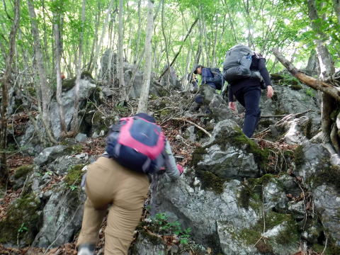 2022.6.5 御前山(尾根歩き)