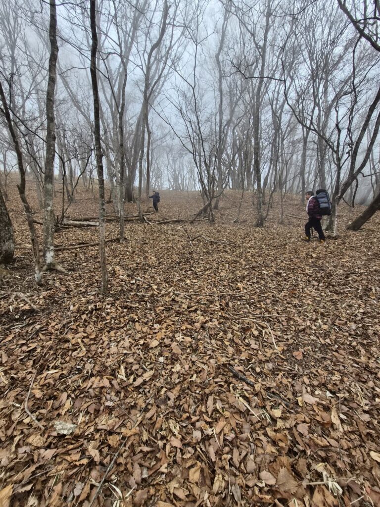 2026.3.20-22　小佐飛山（雪山）