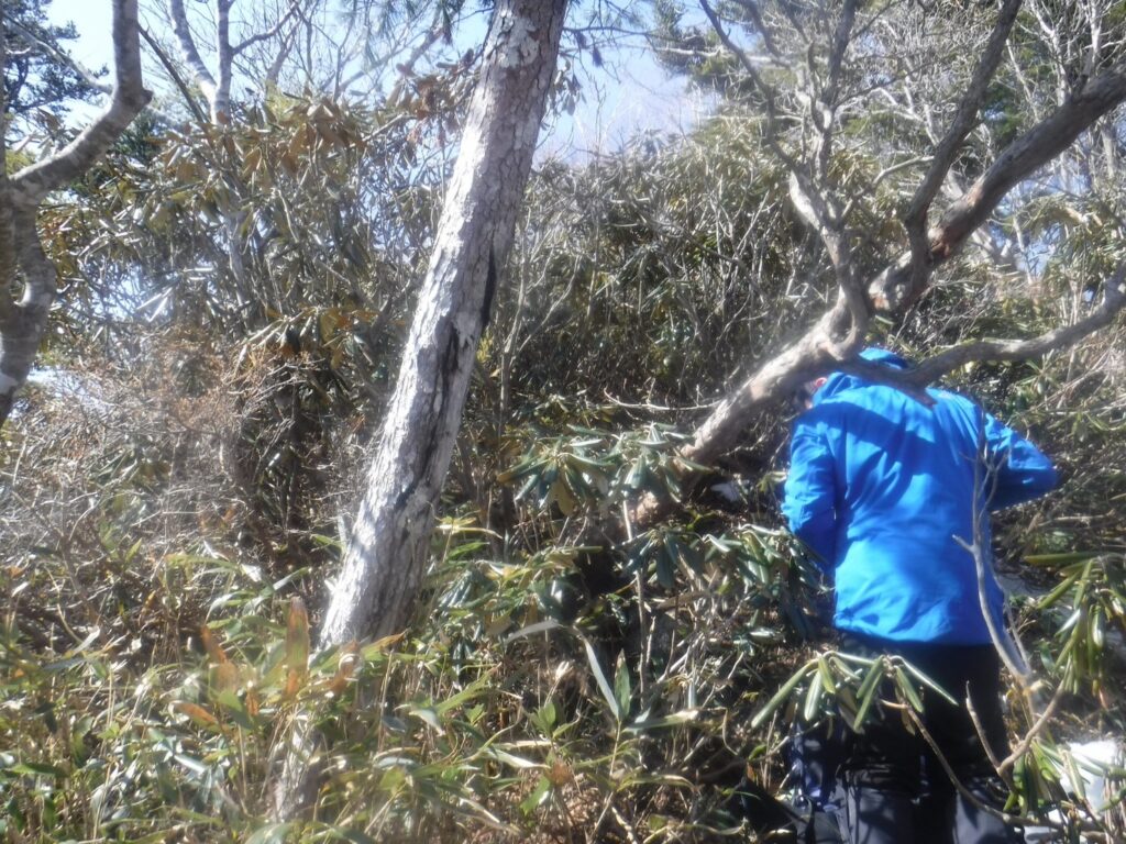 2026.3.20-22　小佐飛山（雪山）