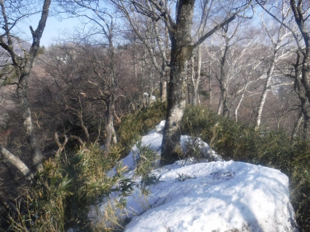 2026.3.20-22　小佐飛山（雪山）