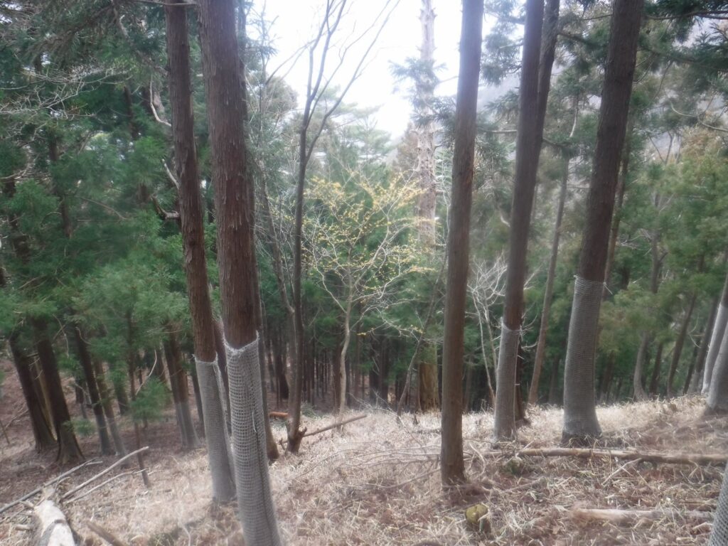 2026.3.20-22　小佐飛山（雪山）