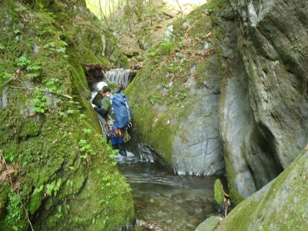 2026.4.19　白沢川奈良倉沢（沢登り）