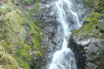 2026.4.19　白沢川奈良倉沢（沢登り）