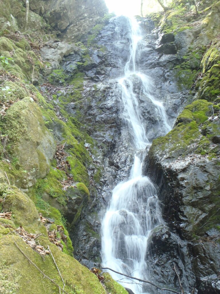 2026.4.19　白沢川奈良倉沢（沢登り）