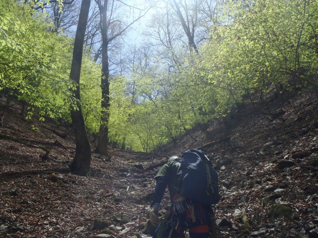 2026.4.19　白沢川奈良倉沢（沢登り）