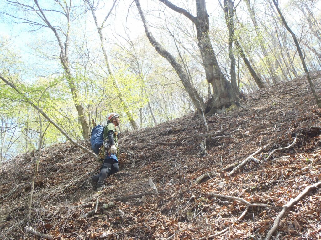 2026.4.19　白沢川奈良倉沢（沢登り）