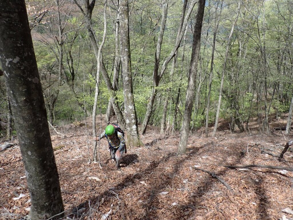 2026.4.19　白沢川奈良倉沢（沢登り）