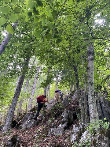 2022.6.5 御前山(尾根歩き)
