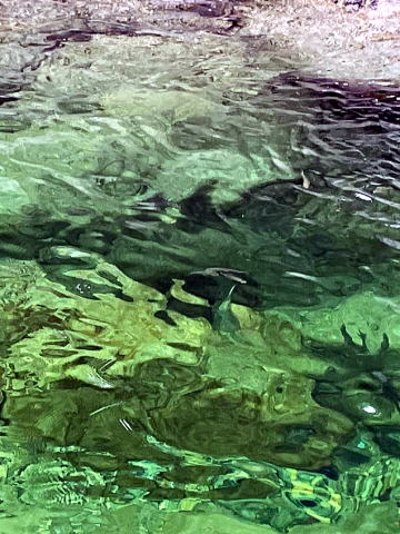 2022.8.11-13 赤木沢(沢登り)