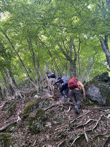 2022.6.5 御前山(尾根歩き)