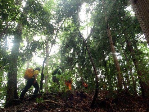 2016.6.5　労山クリーンハイク 北高尾山稜山稜（イベント）