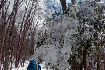2017.4.2　三頭山（尾根歩き）