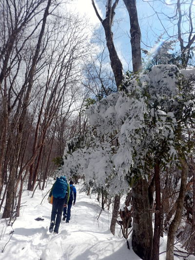 2017.4.2　三頭山（尾根歩き）