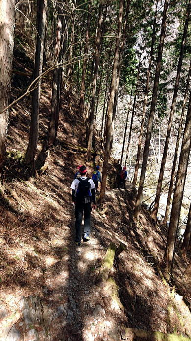2017.4.15　川苔山（尾根歩き）