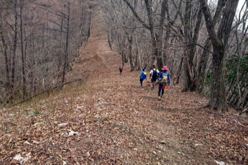 2017.4.15　川苔山（尾根歩き）
