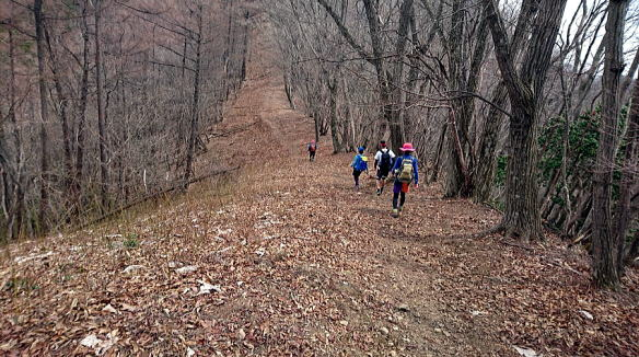2017.4.15　川苔山（尾根歩き）