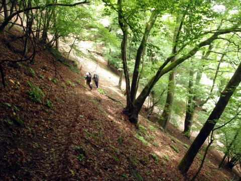 2016.7.23-24　大荒川谷（沢登り）