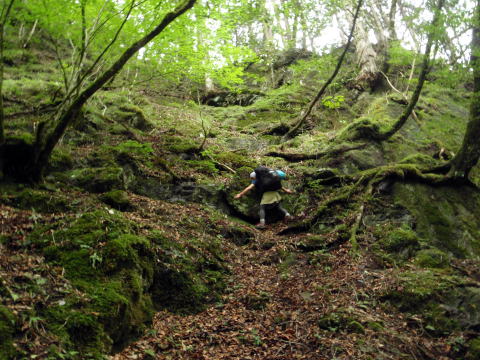 2016.7.23-24　大荒川谷（沢登り）