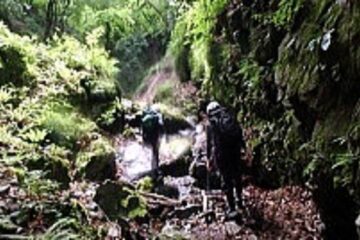 2016.6.5　真名井沢（沢登り）