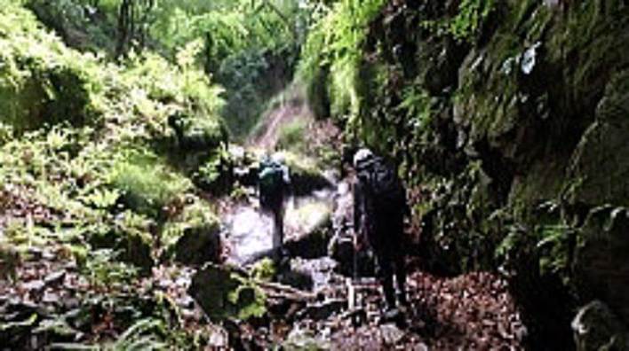 2016.6.5　真名井沢（沢登り）