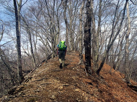 2017.4.16　鷹ノ巣山（尾根歩き）