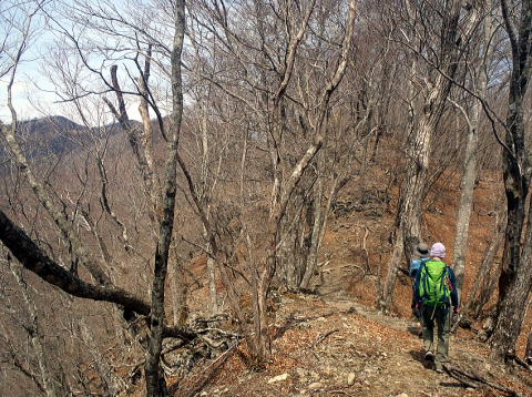 2017.4.16　鷹ノ巣山（尾根歩き）