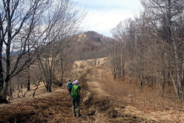 2017.4.16　鷹ノ巣山（尾根歩き）