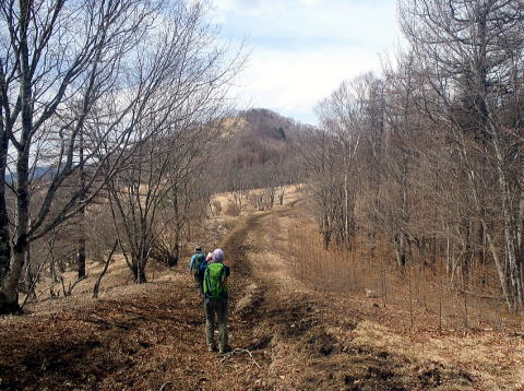 2017.4.16　鷹ノ巣山（尾根歩き）
