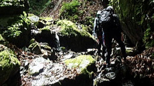 2016.6.5　真名井沢（沢登り）