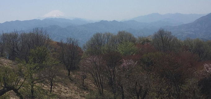 2017.4.30　陣馬山（尾根歩き）