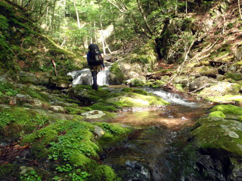 2016.7.23-24　大荒川谷（沢登り）