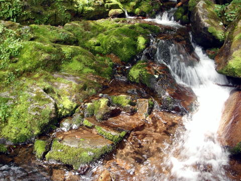 2016.7.23-24　大荒川谷（沢登り）