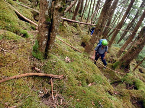 2016.7.23-24　大荒川谷（沢登り）