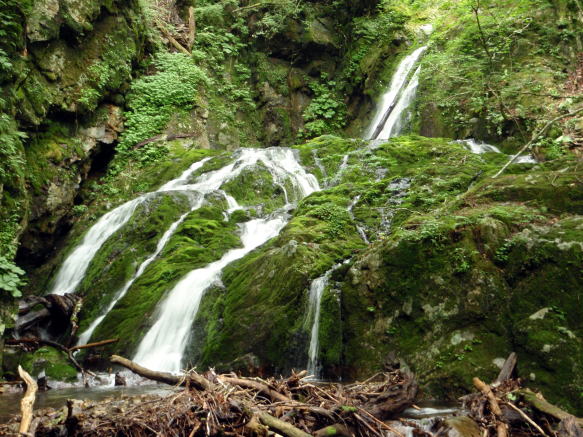 2016.7.23-24　大荒川谷（沢登り）