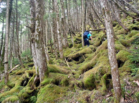 2016.7.23-24　大荒川谷（沢登り）