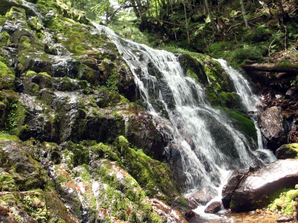 2016.7.23-24　大荒川谷（沢登り）