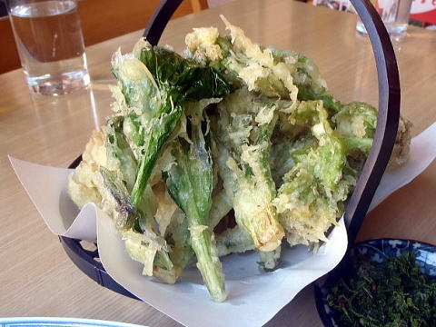 2017.5.3-5 平ヶ岳(雪山)