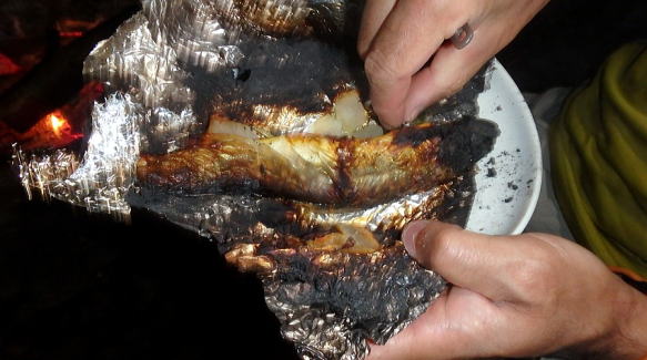 2016.8.11-15　葛根田川（沢登り）