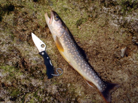 2016.8.11-15　葛根田川（沢登り）