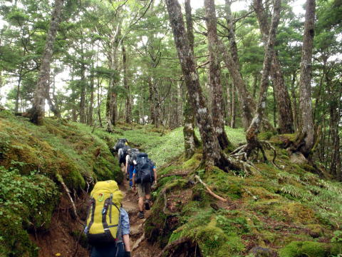 2016.8.20-21　甲斐駒ヶ岳（尾根歩き）