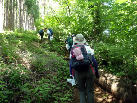 2017.6.4　高尾山（労山クリーンハイク）（イベント）