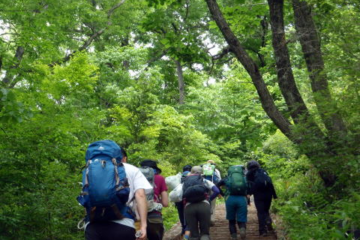 2017.6.4　高尾山（労山クリーンハイク）（イベント）