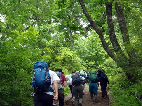 2017.6.4　高尾山（労山クリーンハイク）（イベント）