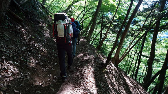 2017.6.10-11　雲取山（尾根歩き）