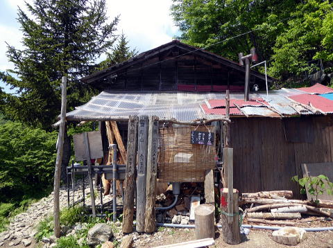 2017.6.10-11　雲取山（尾根歩き）