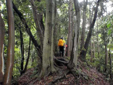 2016.6.5　労山クリーンハイク 北高尾山稜山稜（イベント）