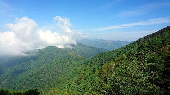 2017.6.10-11　雲取山（尾根歩き）
