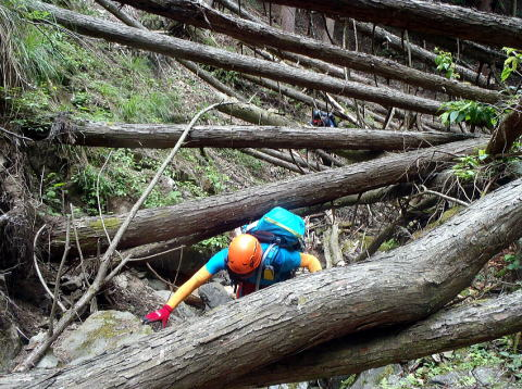2017.6.18　シダクラ沢（沢登り）